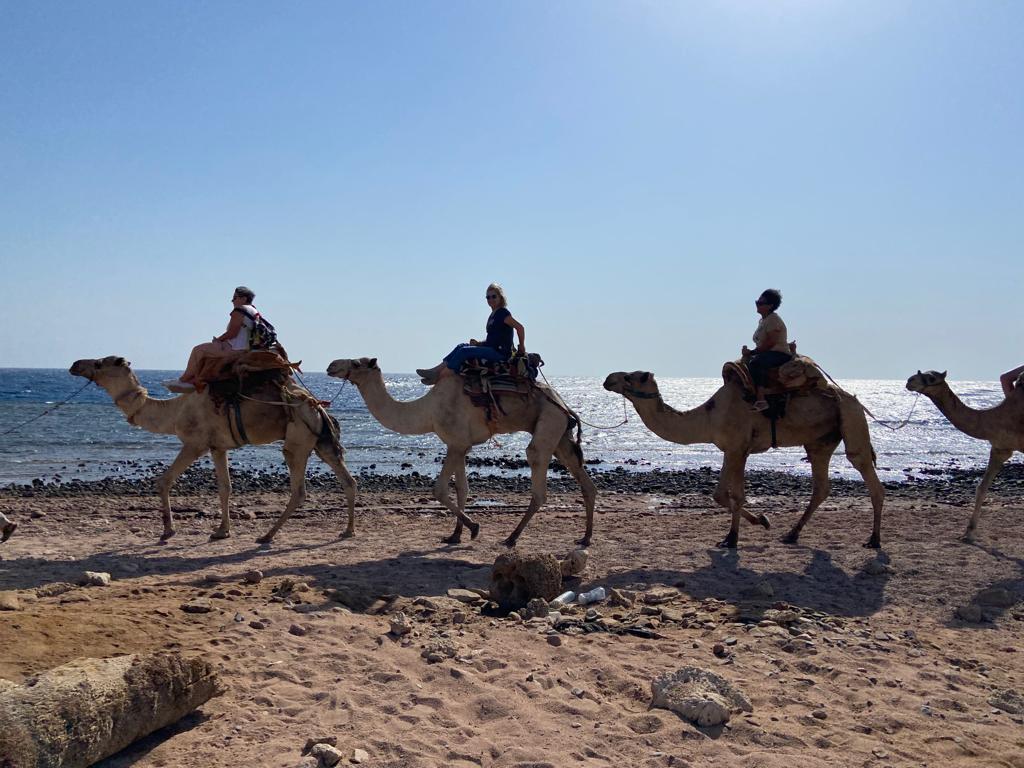 viajediferenteaegipto.com